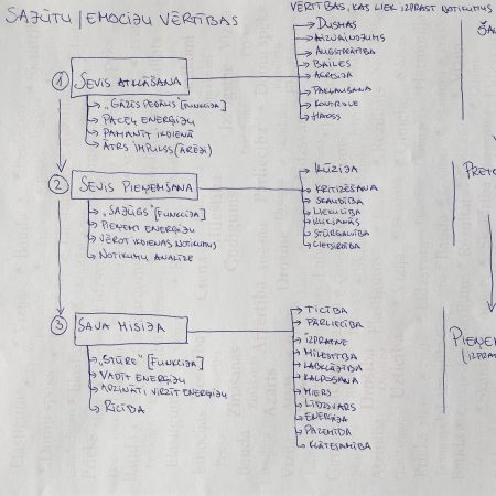 Ko mēs iegūstam, ja izprotam sajūtu / emociju vērtības?